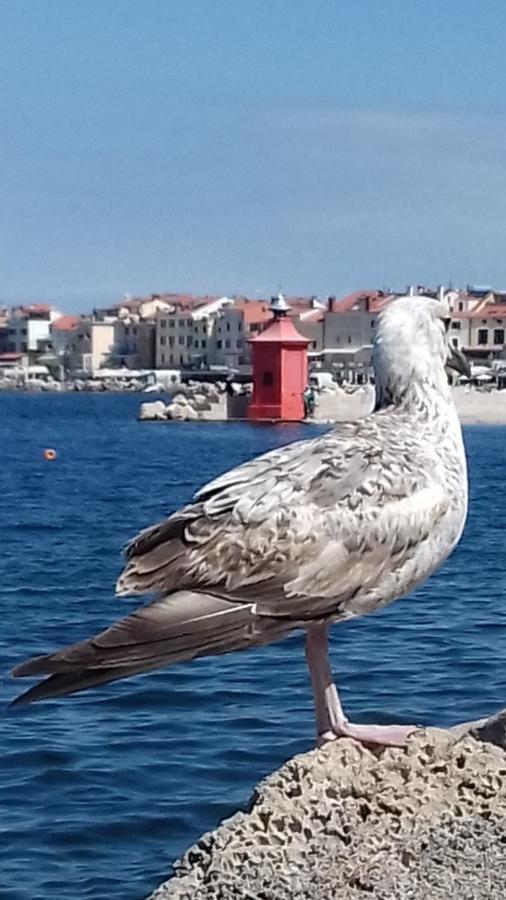 Apartment Apartments Piran *