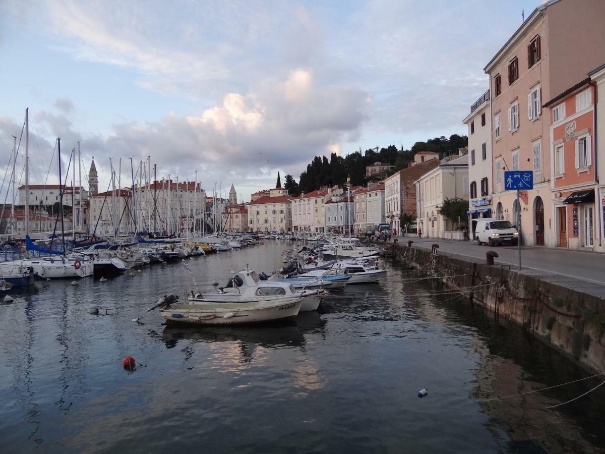 Apartment Apartments Piran